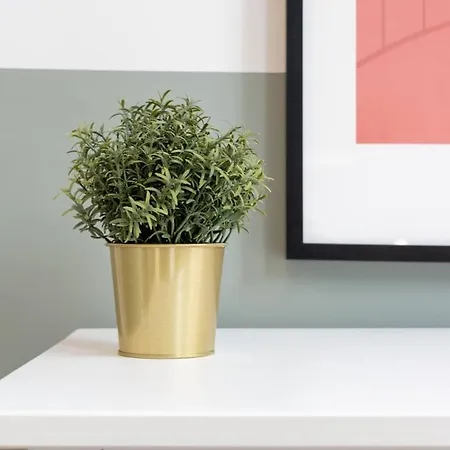 Centre - And Functional Ap. Apartamento Lila